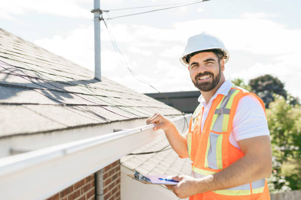 Best Roof Gutter Cleaning  in June Park, FL