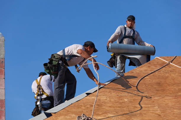 Best Roofing Contractors for Homes  in June Park, FL